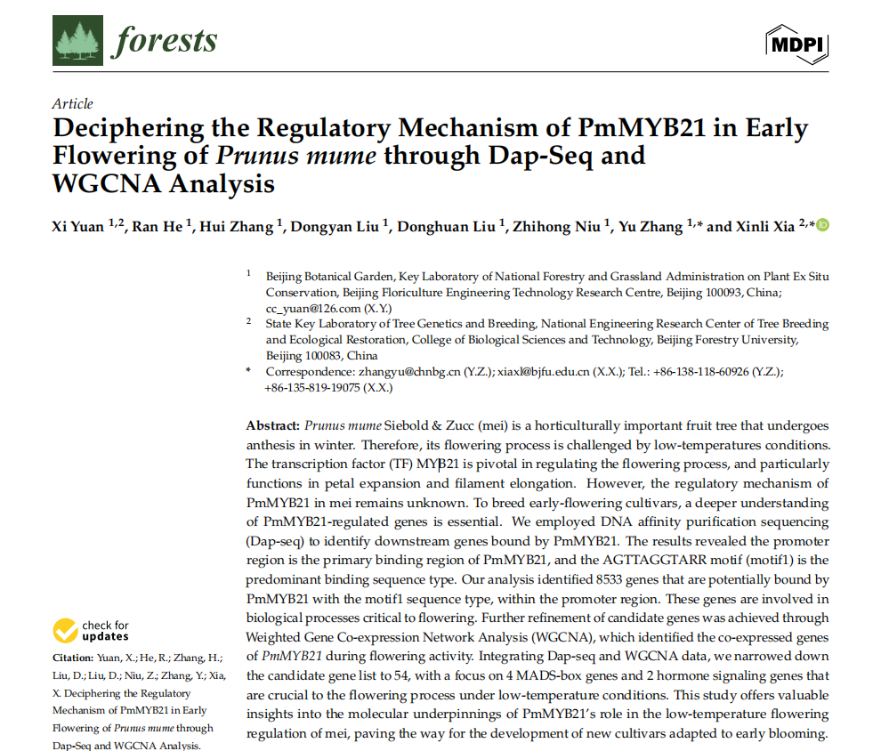 Deciphering the Regulatory Mechanism of PmMYB21 in Early Flowering of Prunus mume through Dap-Seq and WGCNA Analysis