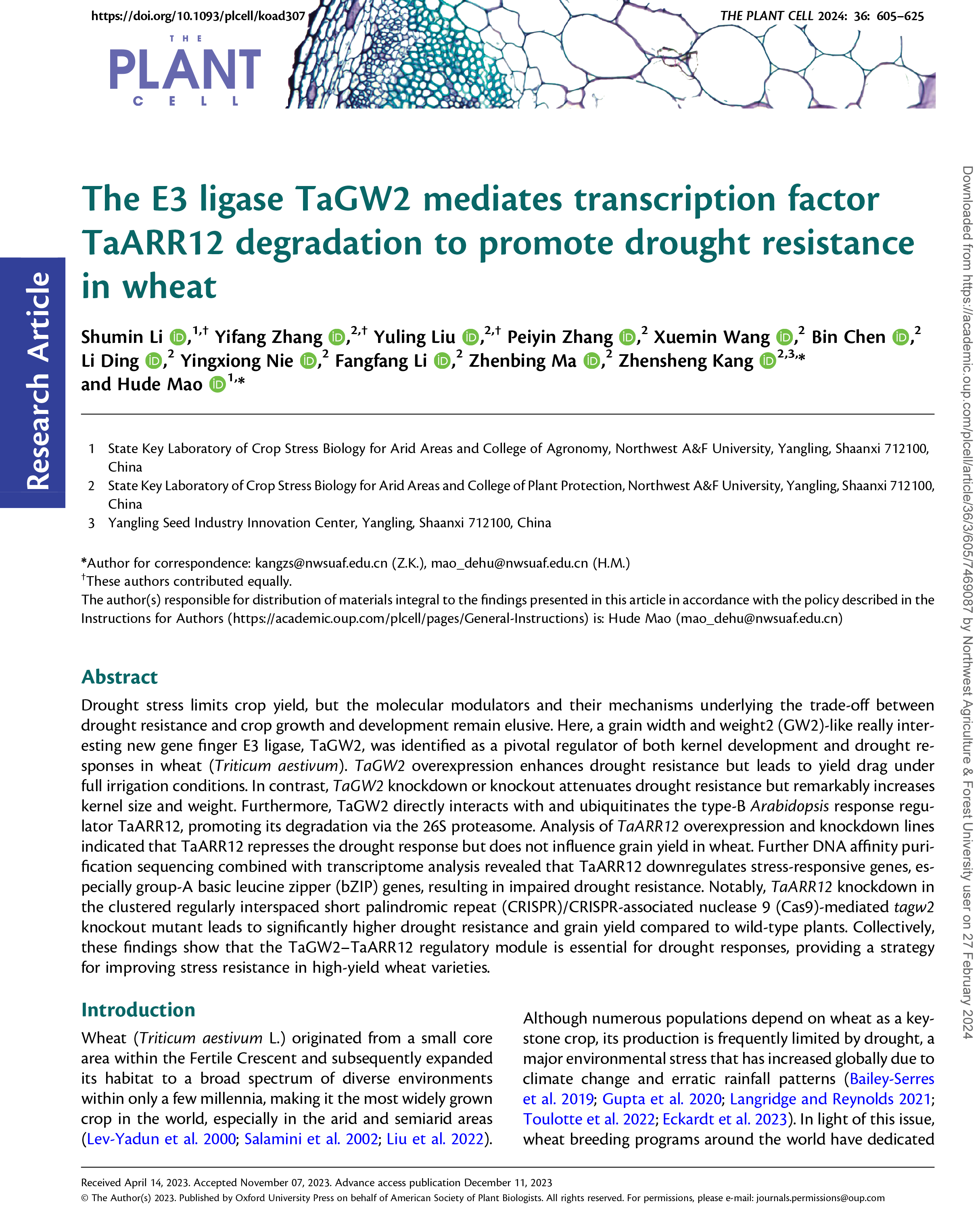 The E3 ligase TaGW2 mediates transcription factor TaARR12 degradation to promote drought resistance in wheat