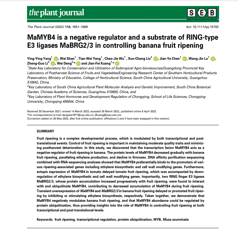 MaMYB4 is a negative regulator and a substrate of RING-type E3 ligases MaBRG2/3 in controlling banana fruit ripening