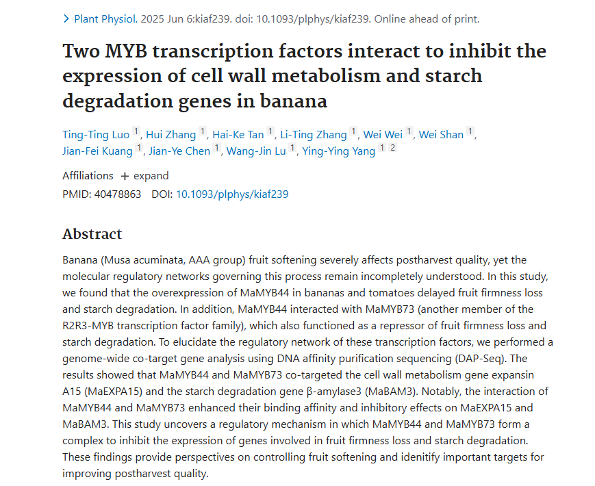 Two MYB transcription factors interact to inhibit the expression of cell wall metabolism and starch degradation genes in banana